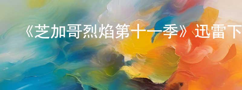 陳從波發布《芝加哥烈焰第十一季》迅雷下載/在線觀看-犯罪歷史-美劇天堂
